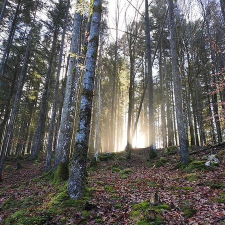 Naturresort Fischergut - Lodge Wolfgangthal Saint Wolfgang Esterno foto