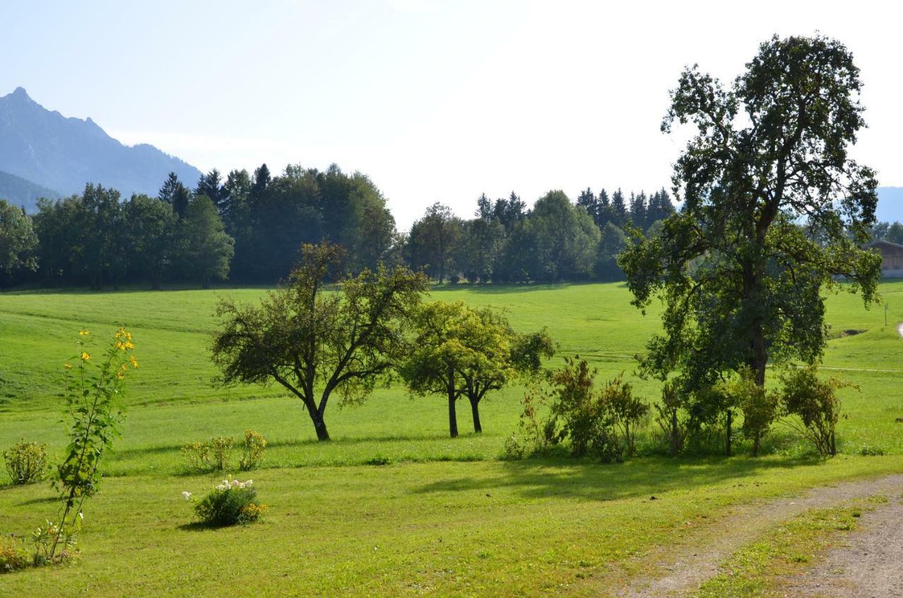 Naturresort Fischergut - Lodge Wolfgangthal Saint Wolfgang Esterno foto