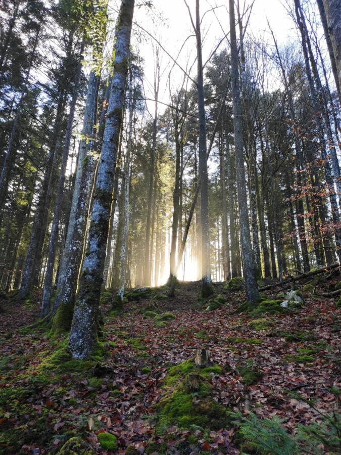 Naturresort Fischergut - Lodge Wolfgangthal Saint Wolfgang Esterno foto